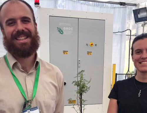The Plant Accelerator® provides WA students opportunity to explore new methods to assess chickpea reproduction